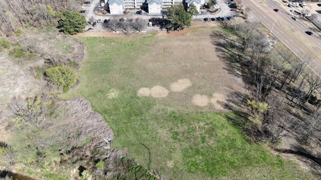 7374 U.S. Highway 64 Road Bartlett, TN 38133 - Photo 11 of 13 a view of a yard with plants and large trees