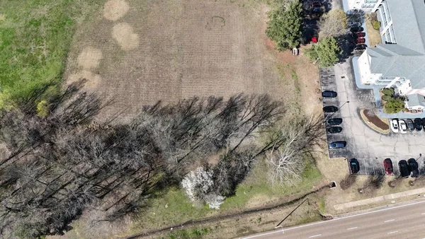 a picture of flowers