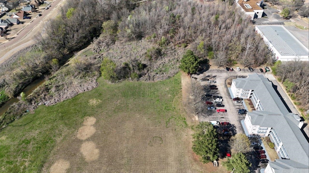 7374 U.S. Highway 64 Road Bartlett, TN 38133 - Photo 6 of 13 a picture of flowers