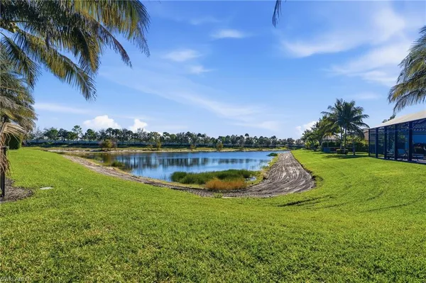 a row of palm trees in front of building