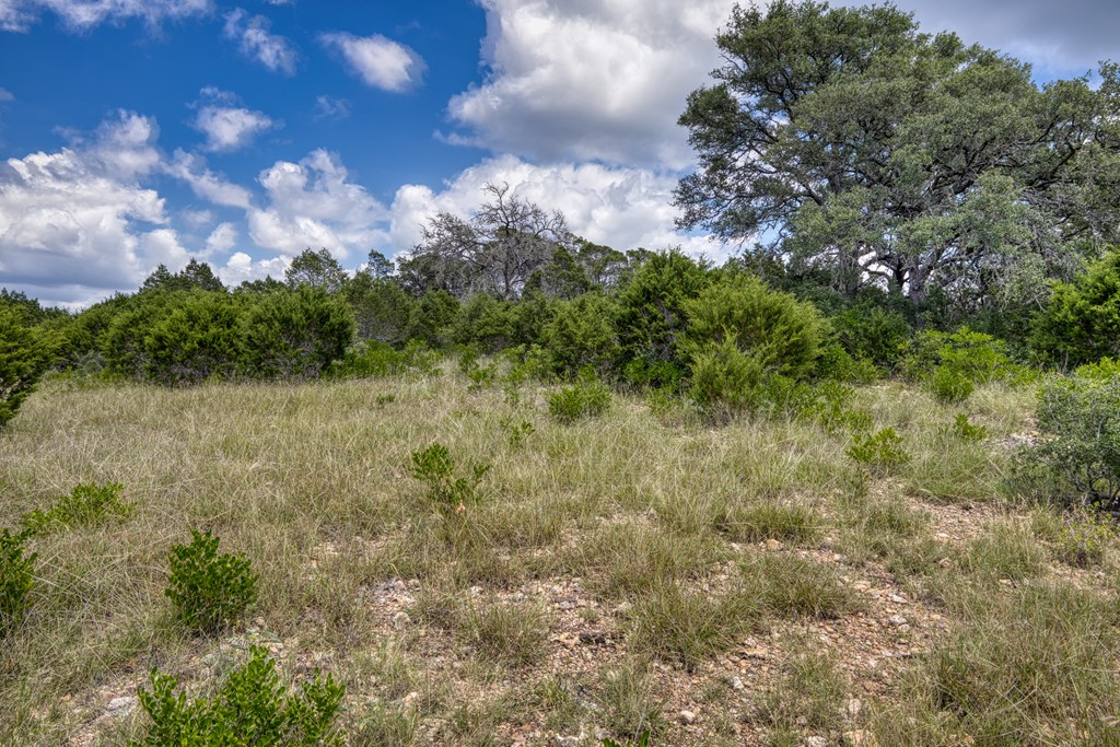 1702 Pinon Loop East Camp Wood, TX 78833 - Photo 12 of 19