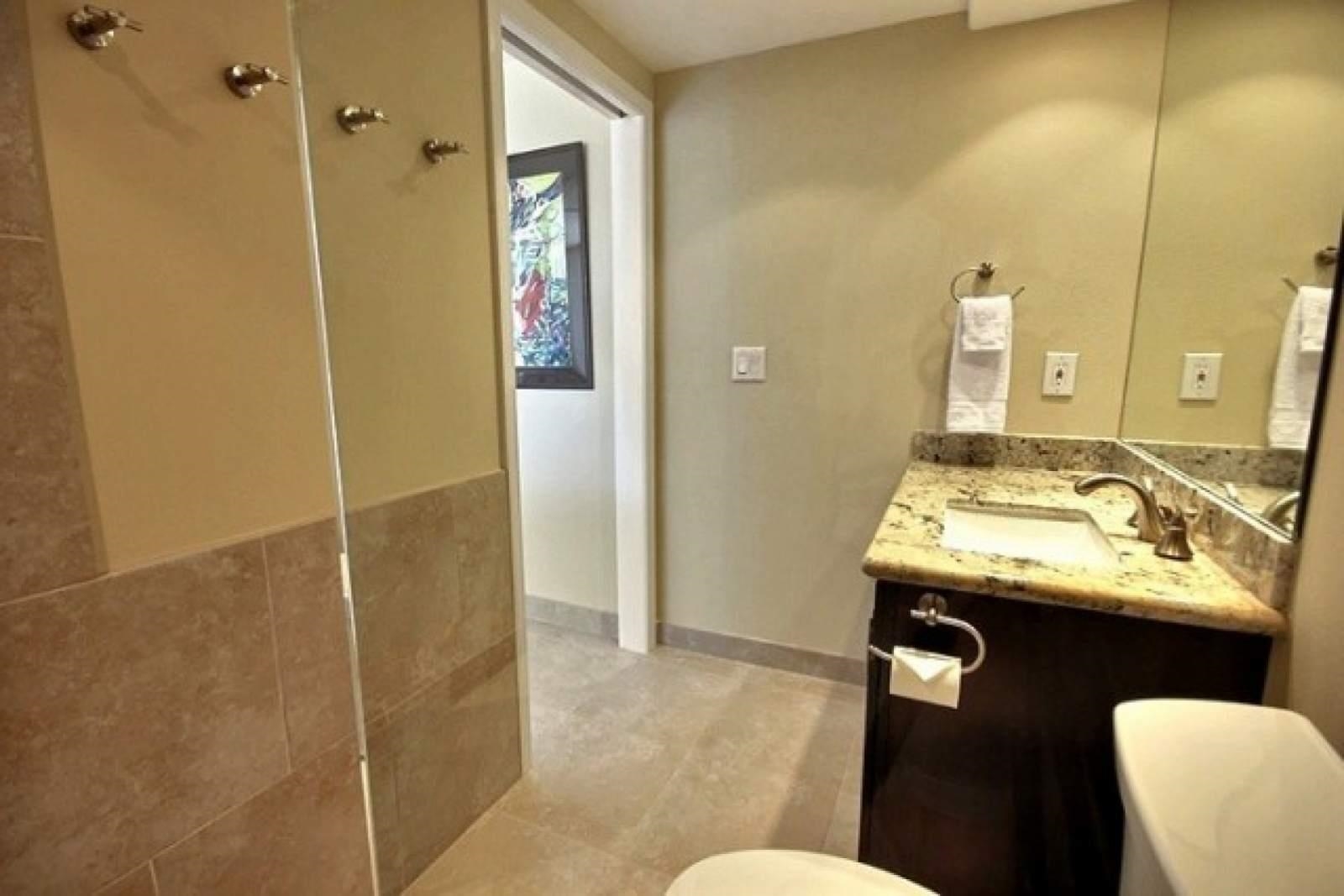 3823 Lower Honoapiilani Road, Unit 310 Lahaina, HI 96761 - Photo 10 of 30