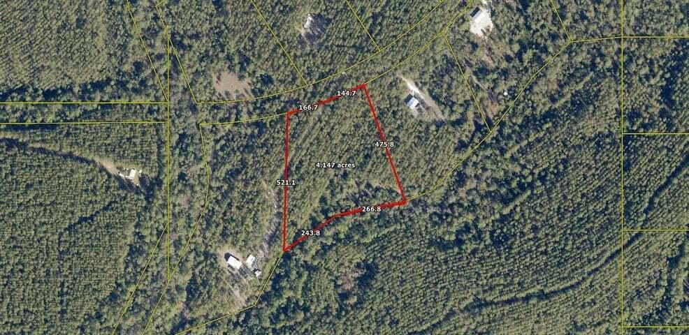 Tbd Tbd Southern Comfort Way Laurel Hill, FL 32567 - Photo 2 of 10 a view of a yard with a plant