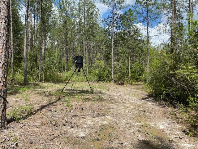 Tbd Tbd Southern Comfort Way Laurel Hill, FL 32567 - Photo 6 of 10 a view of a park with a slide