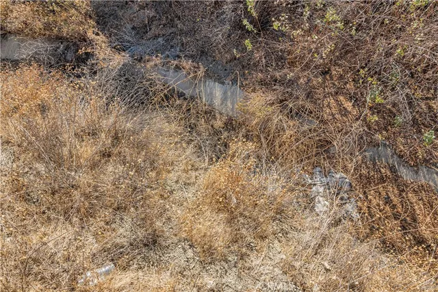 a view of a large mountain with trees in the background