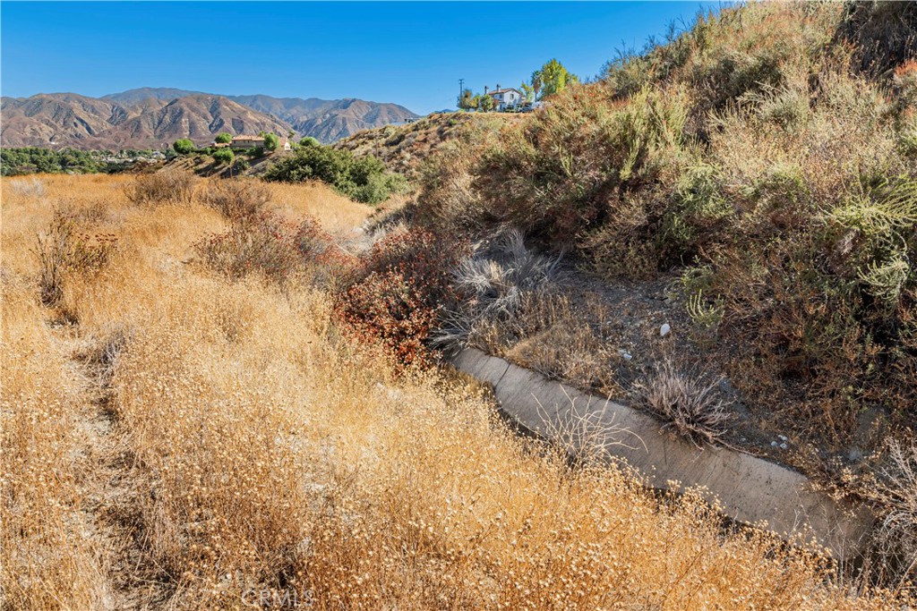 1 Warmuth Road Canyon Country, CA 91387 - Photo 14 of 34 a view of a yard with trees in the background