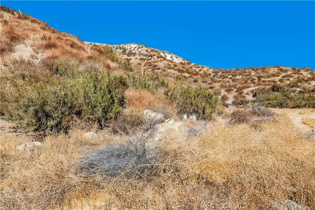 a view of a dry yard