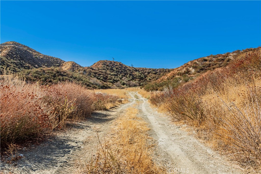 1 Warmuth Road Canyon Country, CA 91387 - Photo 19 of 34 a view of a dry yard