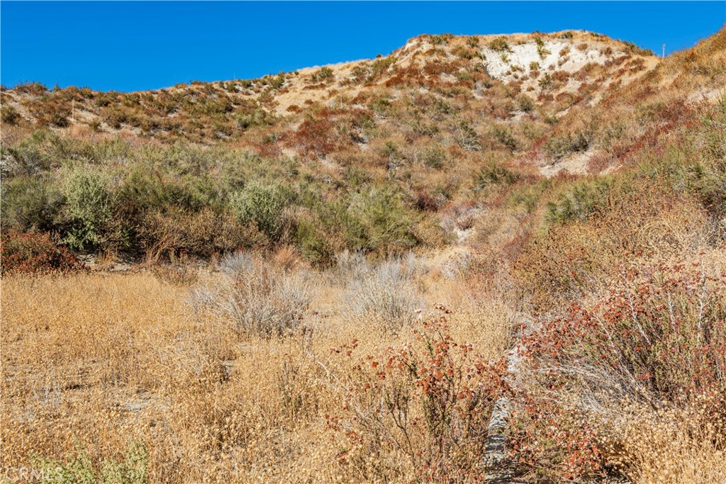 1 Warmuth Road Canyon Country, CA 91387 - Photo 20 of 34 a view of a large mountain with a snow in the background
