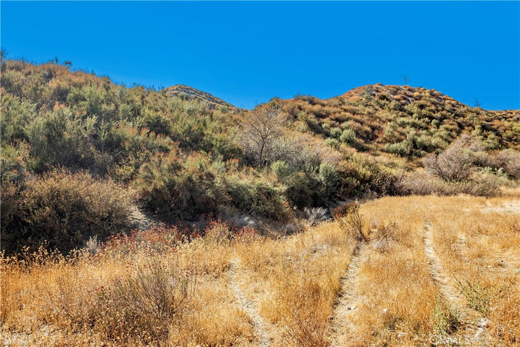 1 Warmuth Road Canyon Country, CA 91387 - Photo 3 of 34 a view of a field