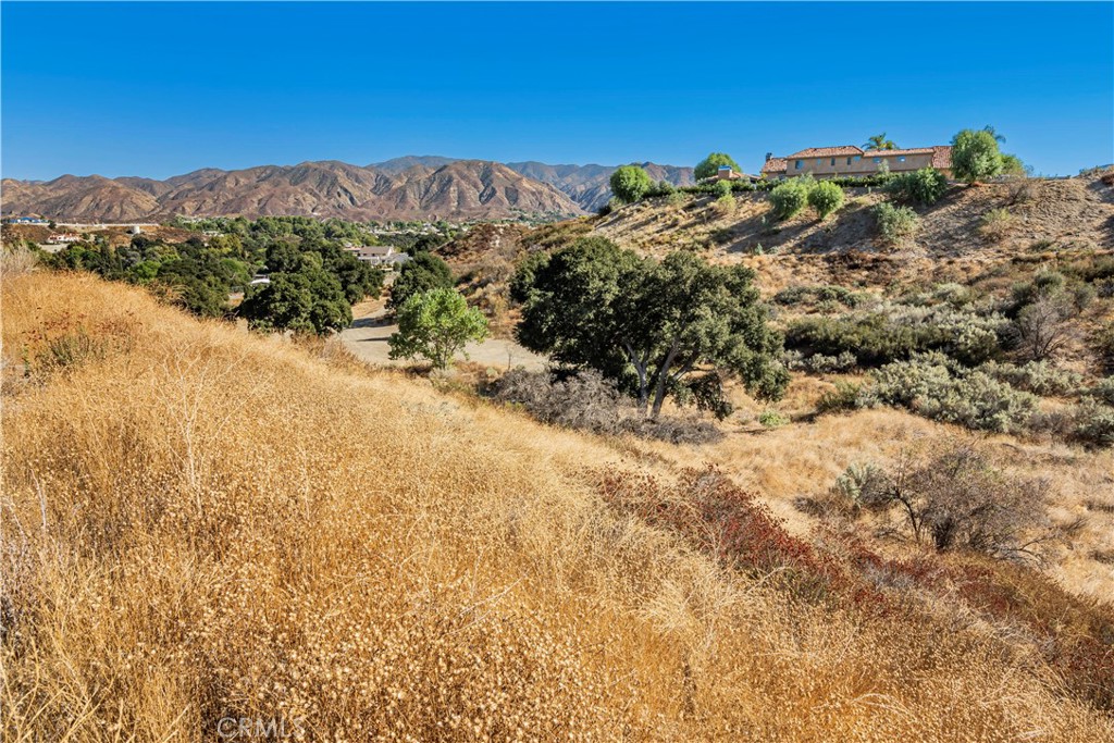 1 Warmuth Road Canyon Country, CA 91387 - Photo 32 of 34 a view of a dry yard with mountains in the background