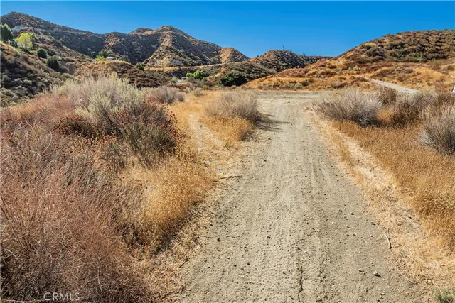 a view of a dry yard