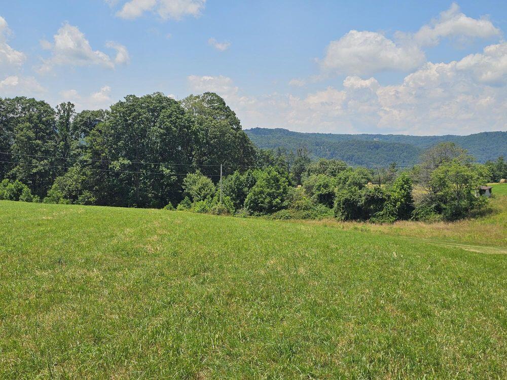 5618 Ellison Ridge Road Jumping Branch, WV 25969 - Photo 26 of 39 Gallery Image 26