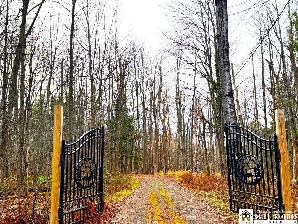 1 Whisper Lane Ellicott, NY 14701 - Photo 3 of 46