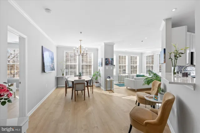 a living room with furniture floor to ceiling window and potted plants