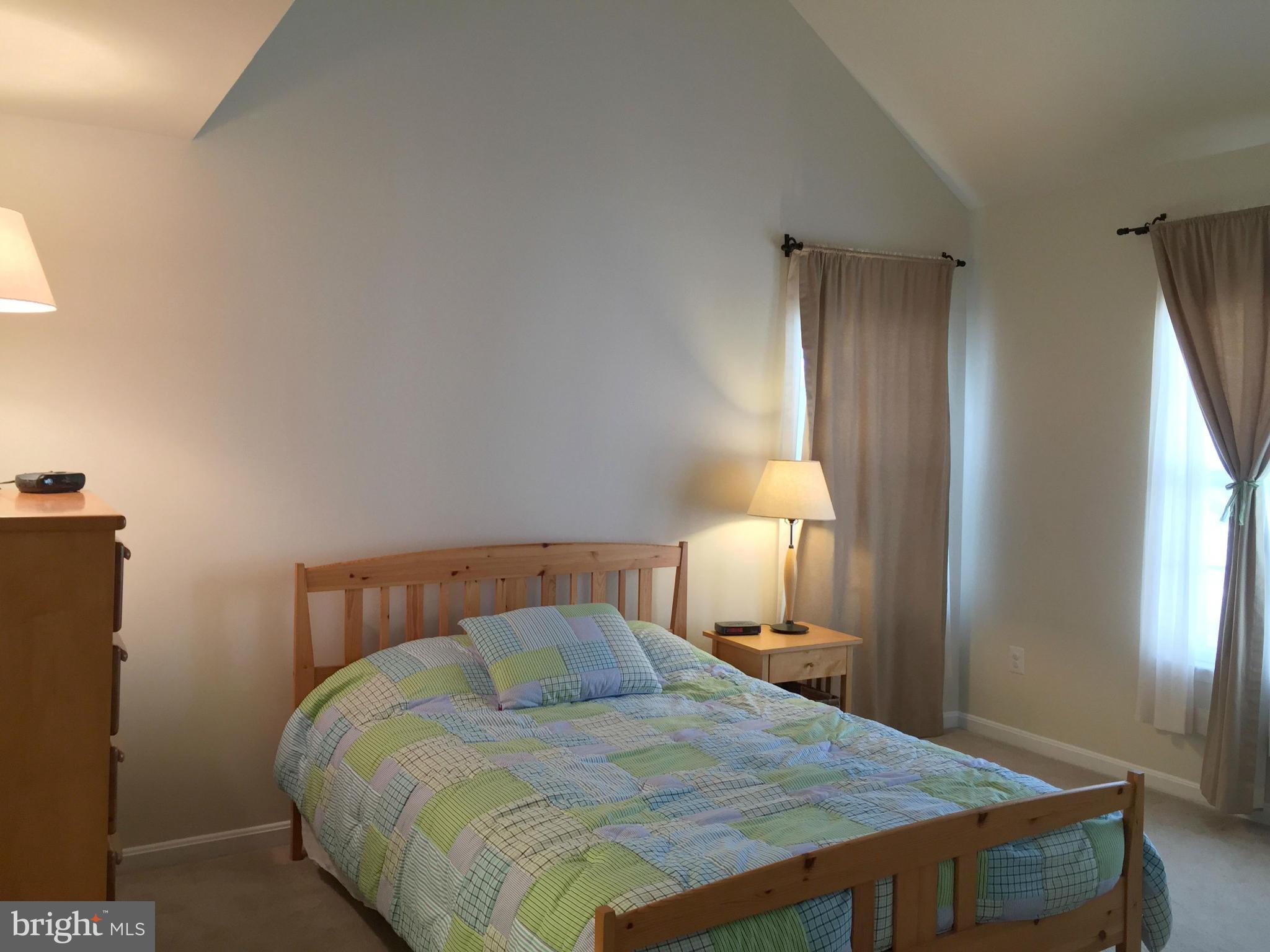 12149 Amber Ridge Circle Germantown, MD 20876 - Photo 16 of 30 Bedroom (Master) - Vaulted ceiling