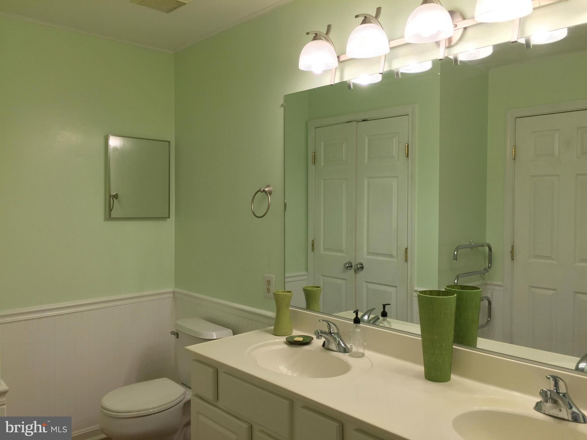 12149 Amber Ridge Circle Germantown, MD 20876 - Photo 20 of 30 Bath (Master) double sink w new light fixture