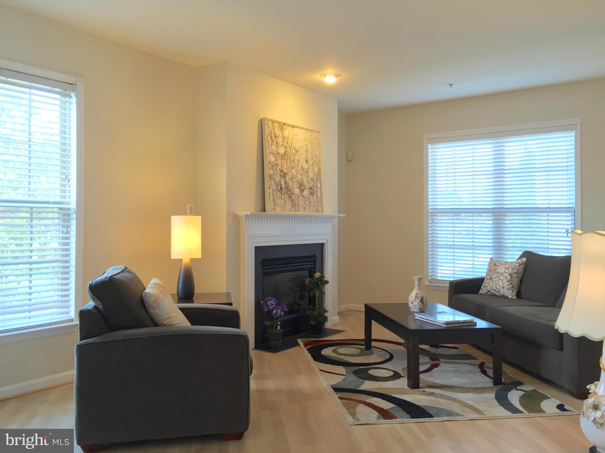 12149 Amber Ridge Circle Germantown, MD 20876 - Photo 7 of 30 Living Room - full of natural light