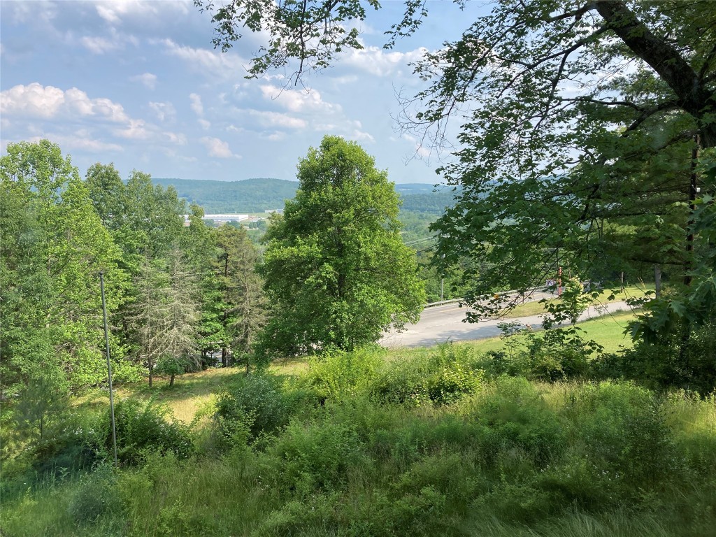 18 Skyline Road Owego, NY 13827 - Photo 44 of 49