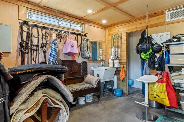a view of a backyard with plants and large tree