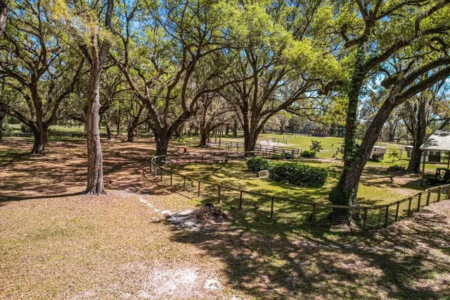 a view of a city with ocean