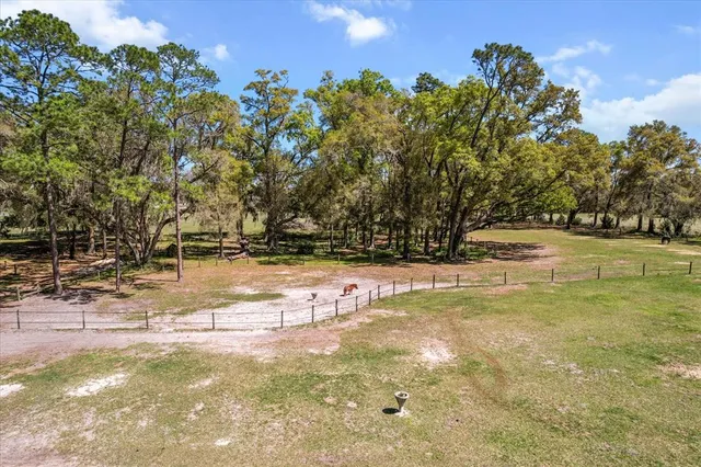 $695,000 | 4551 Northeast 160 Avenue, Williston, FL 32696