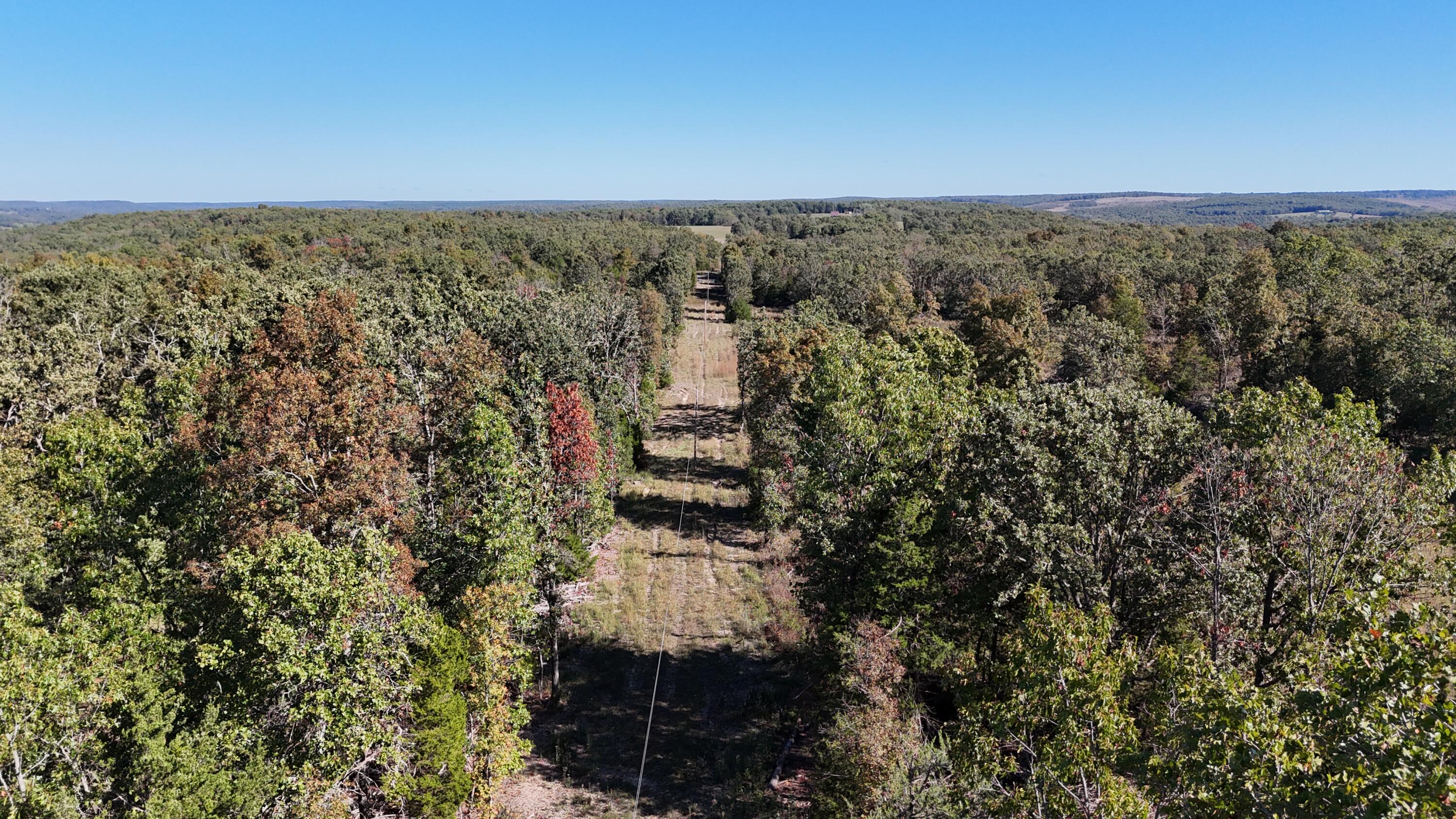 0 Stone Ridge Road Plato, MO 65552 - Photo 12 of 18 DJI_20251008105549_0232_D