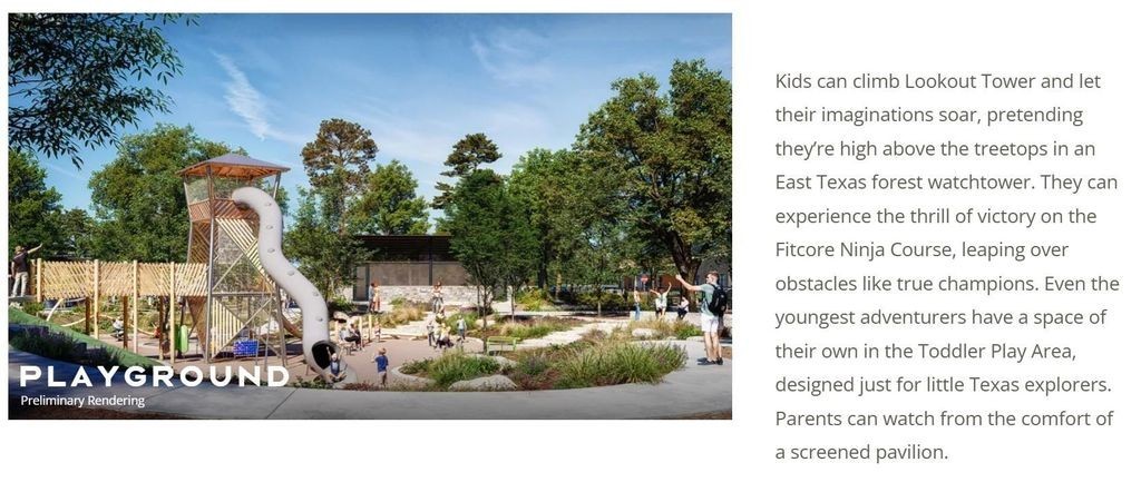 1788 Howler Way Montgomery, TX 77316 - Photo 39 of 43