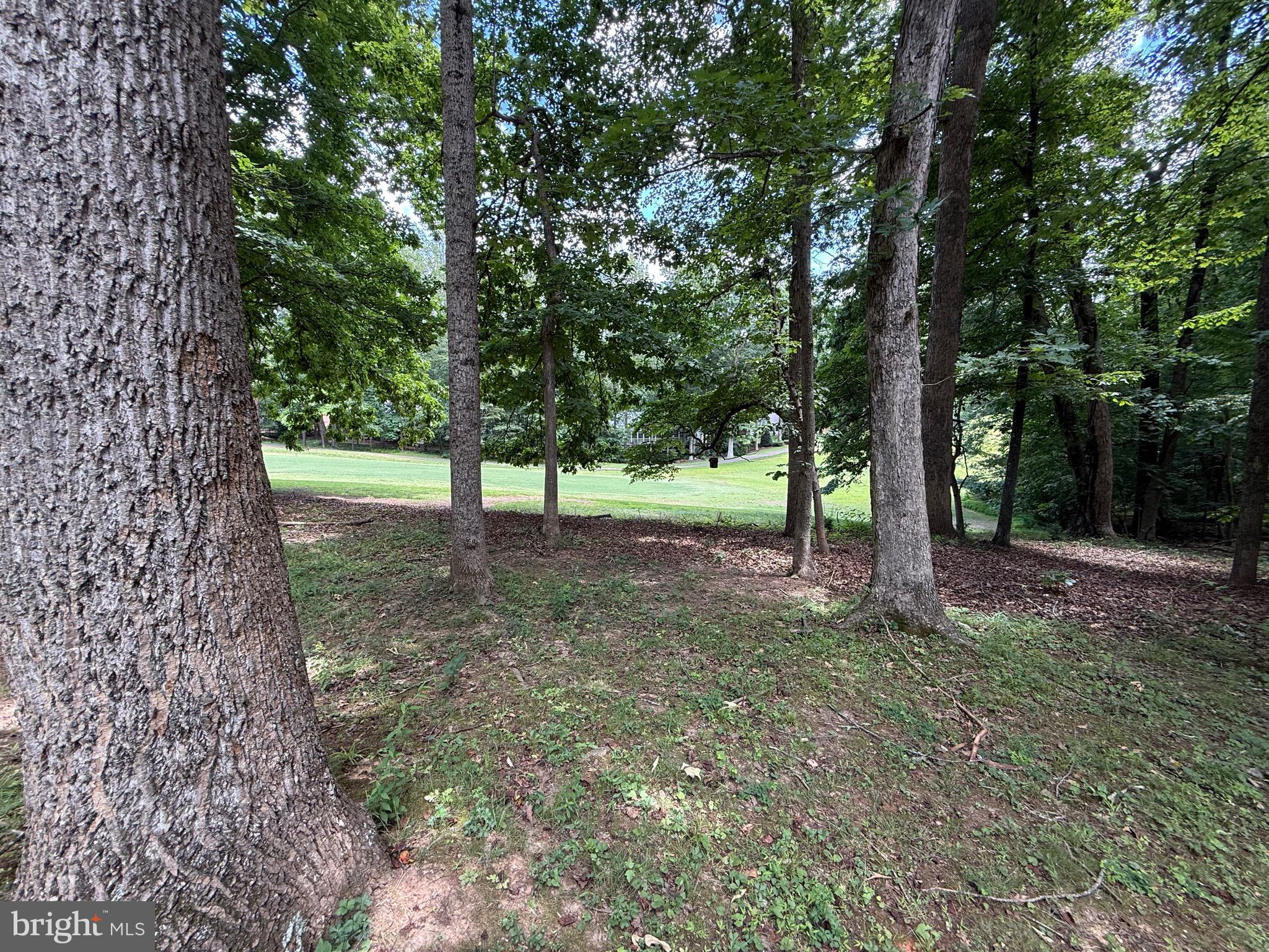 421 Birdie Road Locust Grove, VA 22508 - Photo 49 of 49
