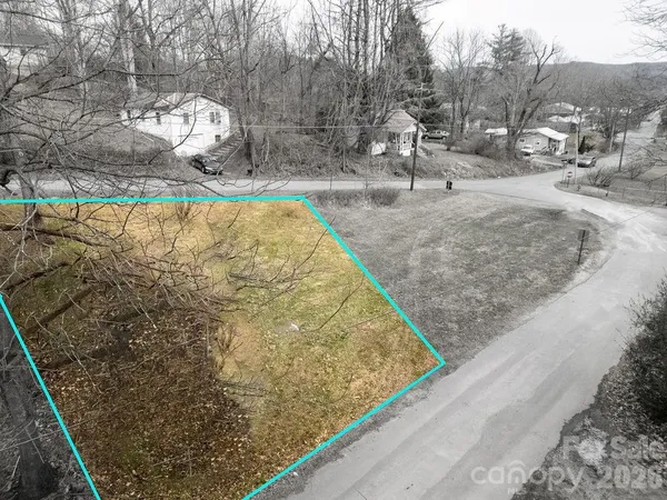 a view of a backyard with large trees
