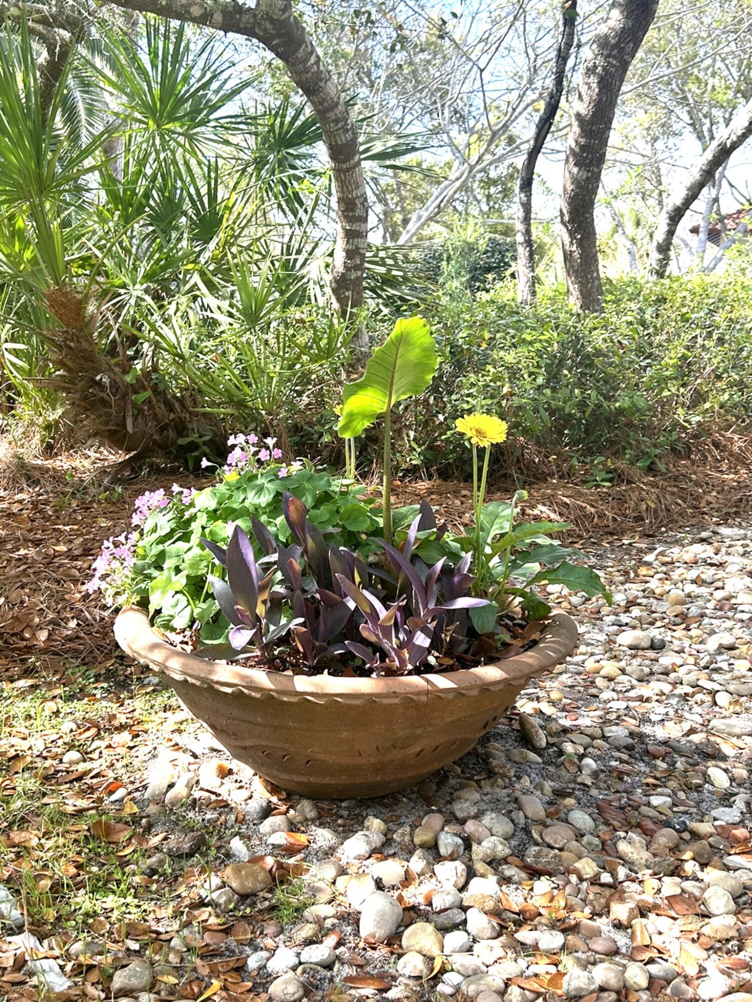 258 Seabreeze Circle Inlet Beach, FL 32461 - Photo 45 of 51 Garden 2
