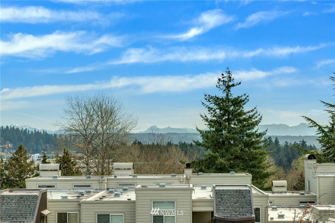 7459 Old Redmond Road, Unit 309 Redmond, WA 98052 - Photo 24 of 25