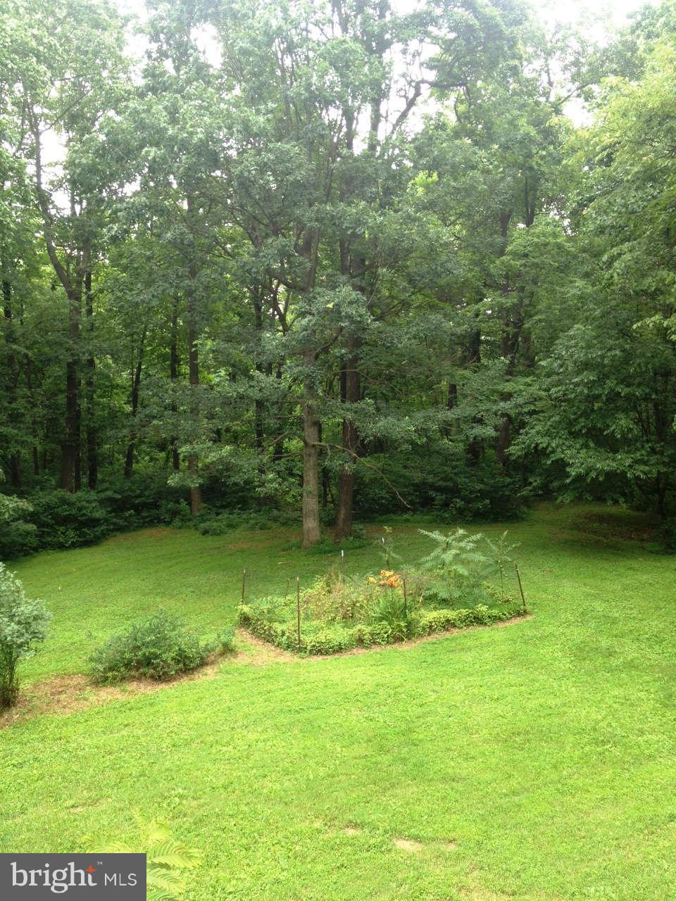 32600 Mt Weather Road Bluemont, VA 20135 - Photo 3 of 8 View
