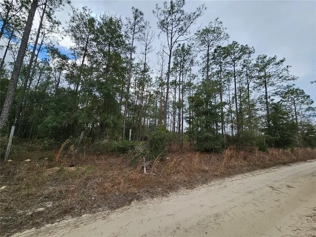 $60,000 | Tbd Northeast 45th Street, Williston, FL 32696