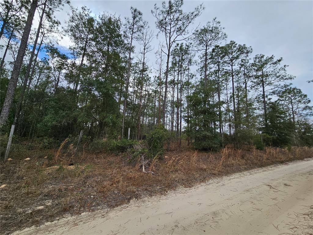 Tbd Northeast 45th Street Williston, FL 32696 - Photo 1 of 4