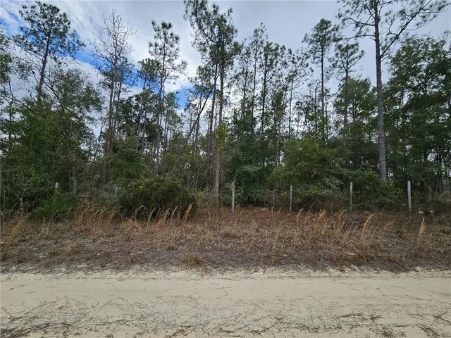 $60,000 | Tbd Northeast 45th Street, Williston, FL 32696