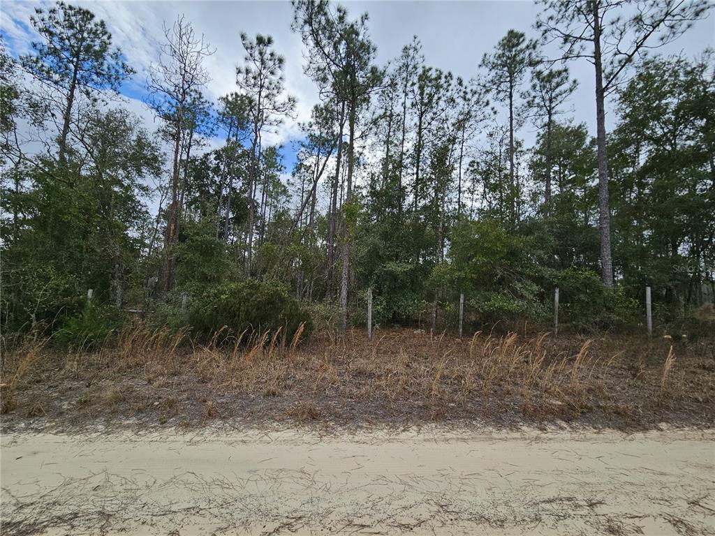 Tbd Northeast 45th Street Williston, FL 32696 - Photo 2 of 4