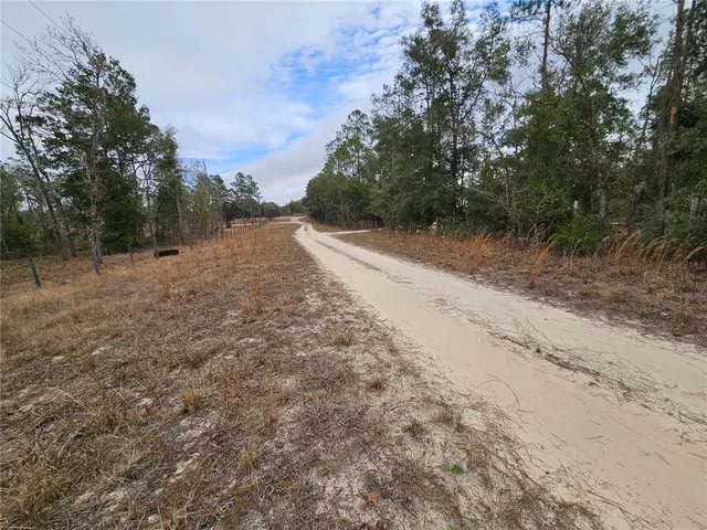 $60,000 | Tbd Northeast 45th Street, Williston, FL 32696