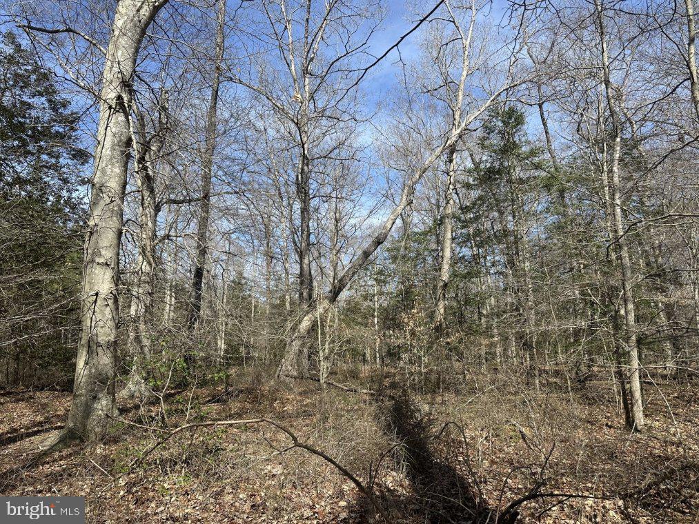 0 Peggy Neck Road Princess Anne, MD 21853 - Photo 12 of 14