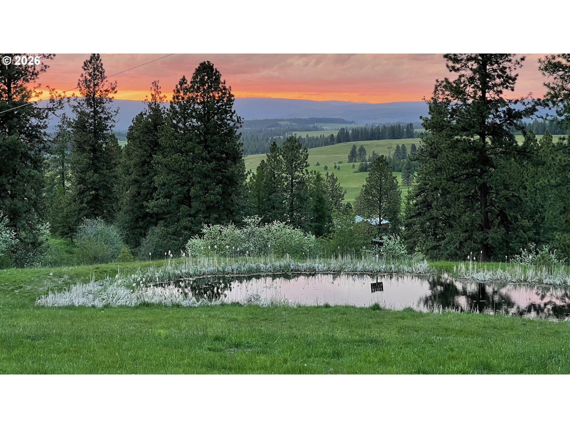 70677 Follett Road Elgin, OR 97827 - Photo 3 of 47