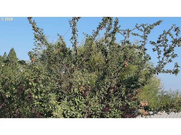 $879,000 | 70677 Follett Road, Elgin, OR 97827