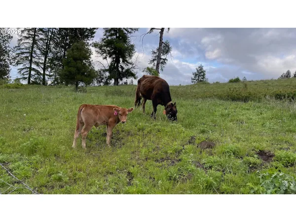 $879,000 | 70677 Follett Road, Elgin, OR 97827