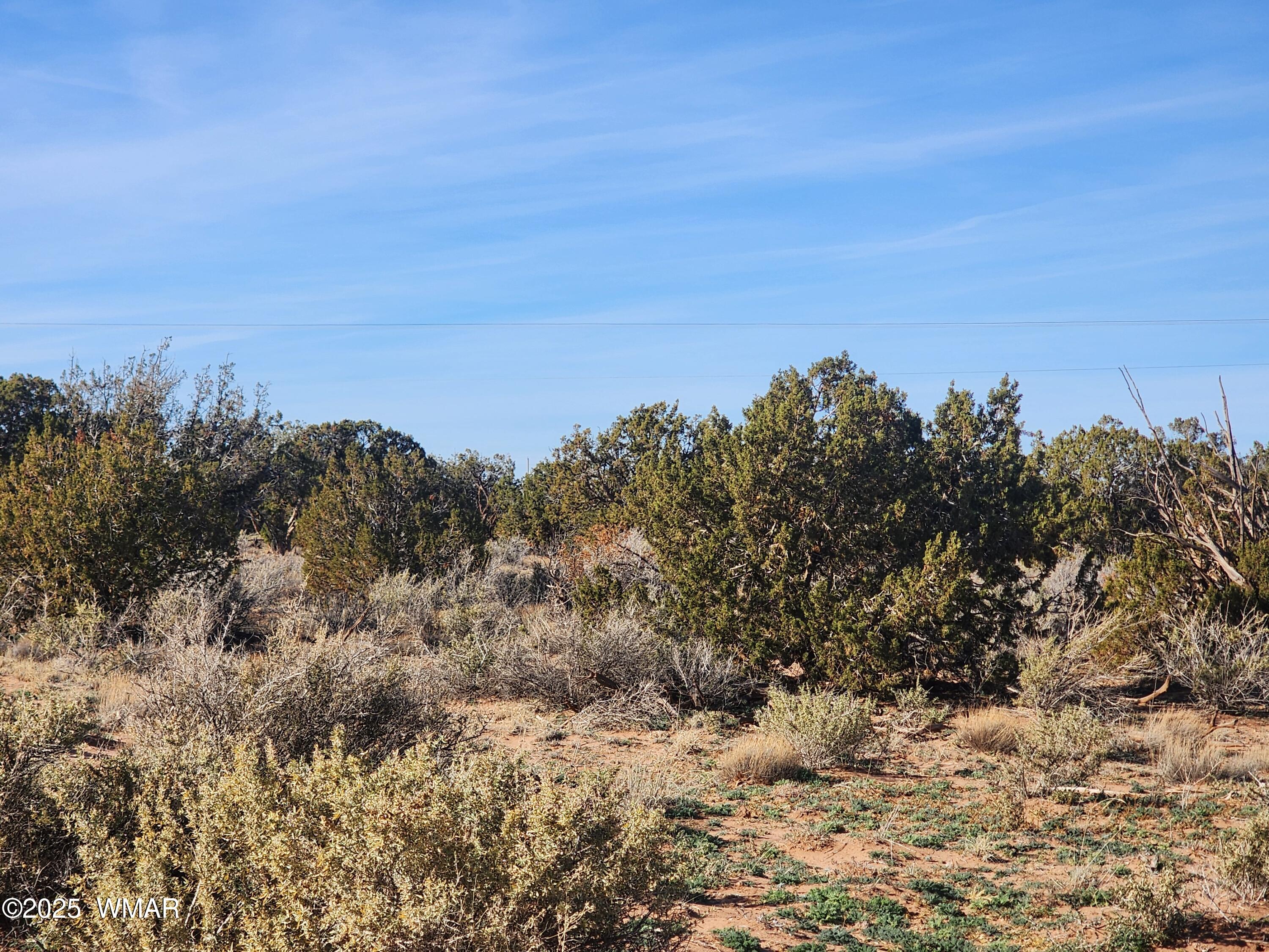 4726 Hay Hollow Road Snowflake, AZ 85937 - Photo 11 of 14 a view of a sky