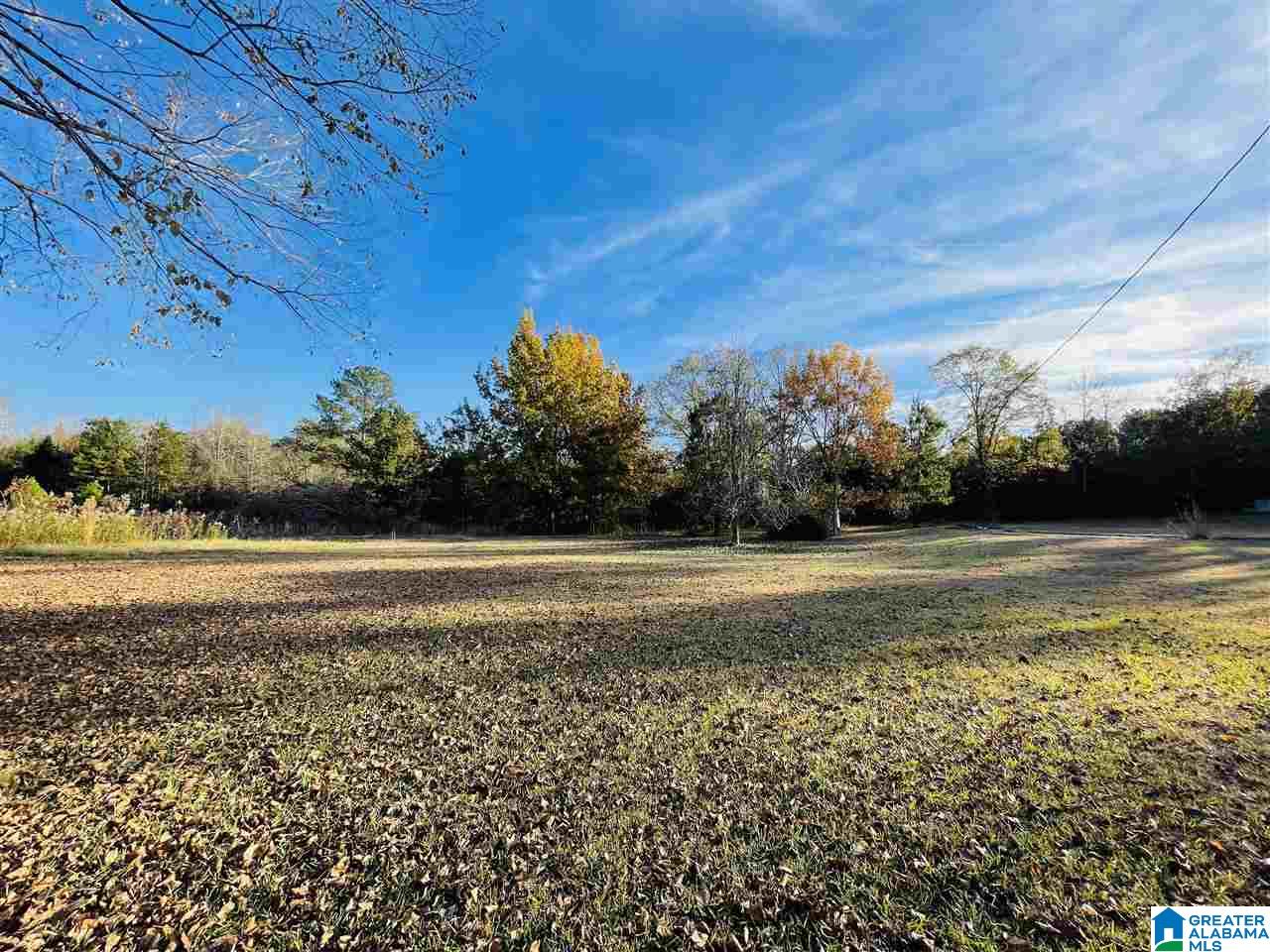 400 North Horton Road Wilsonville, AL 35186 - Photo 13 of 30