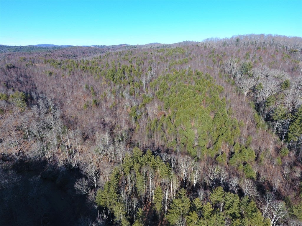 Tbd Old Jackson Mill Road, Unit 1 Laurel Fork, VA 24352 - Photo 11 of 16 Gallery Image 11