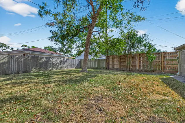 a view of a backyard with tree