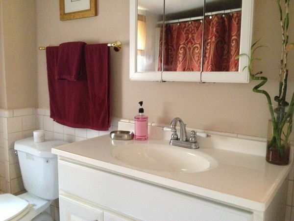 4 Bruce Street Wareham, MA 02532 - Photo 11 of 30 a bathroom with a sink and a mirror