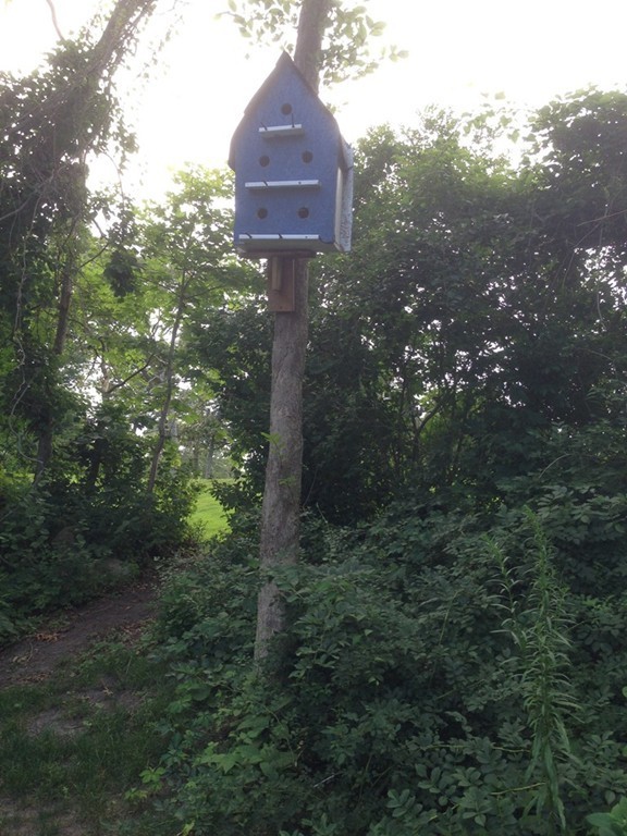 4 Bruce Street Wareham, MA 02532 - Photo 24 of 30 a view of a tree in a yard
