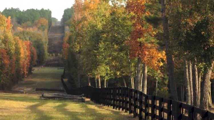 Lot 5 Rocking Horse Lane Aiken, SC 29801 - Photo 4 of 12