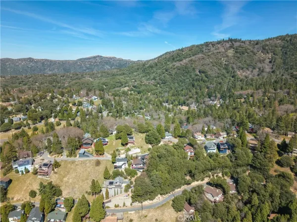 an aerial view of residential houses with outdoor space and trees